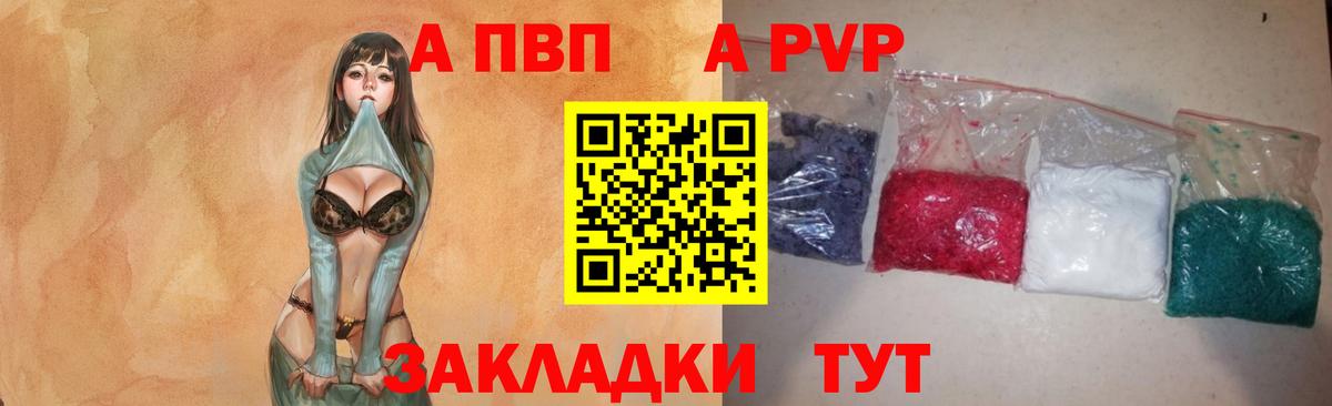 A PVP СК Архангельск